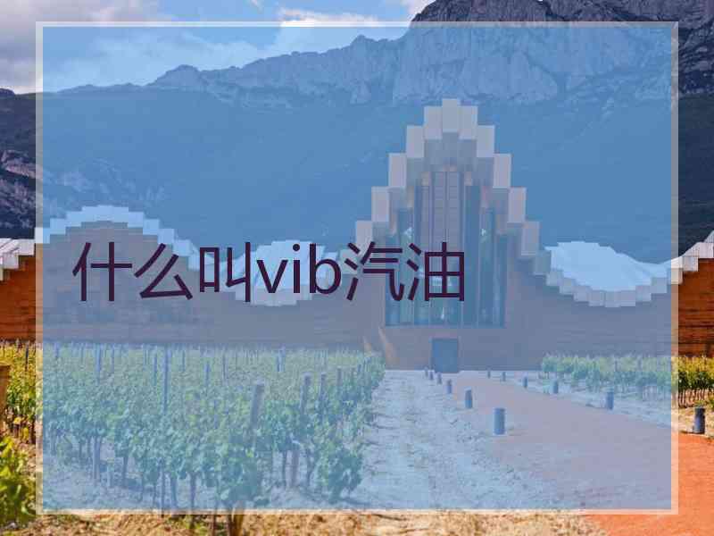 什么叫vib汽油