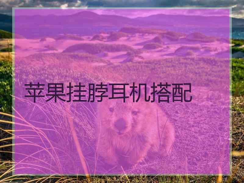 苹果挂脖耳机搭配