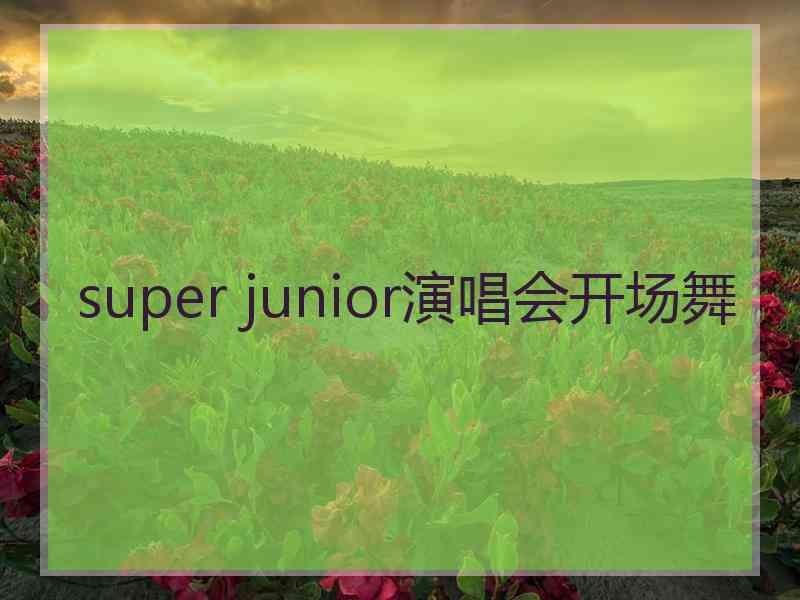 super junior演唱会开场舞