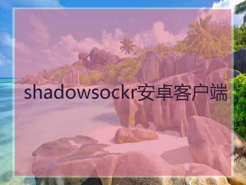 shadowsockr安卓客户端