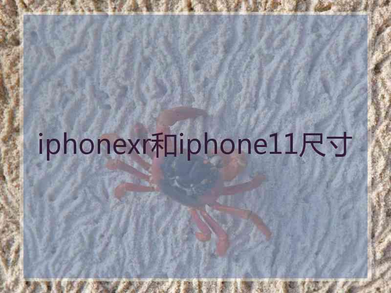 iphonexr和iphone11尺寸