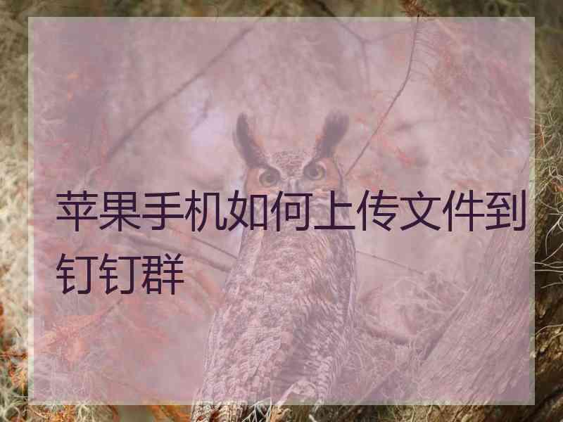 苹果手机如何上传文件到钉钉群