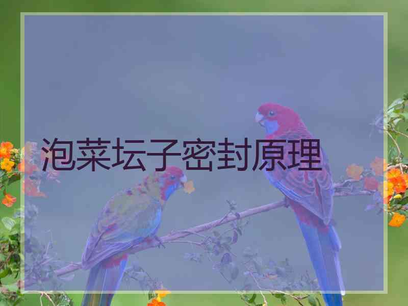 泡菜坛子密封原理