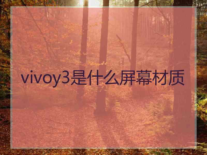 vivoy3是什么屏幕材质