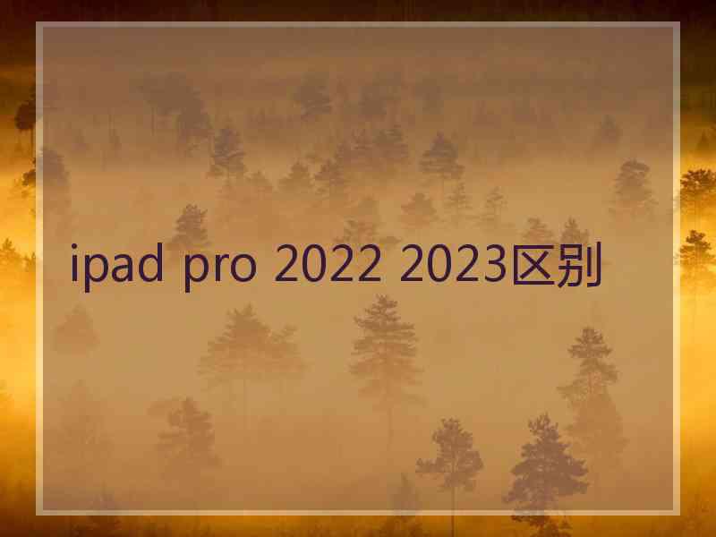 ipad pro 2022 2023区别