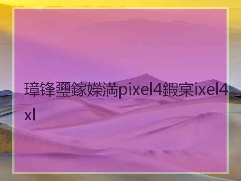 璋锋瓕鎵嬫満pixel4鍜宲ixel4xl