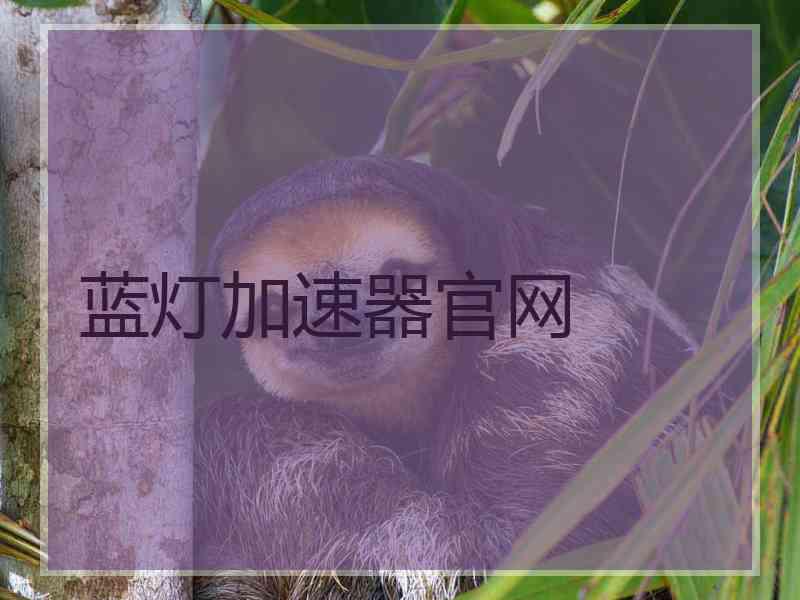 蓝灯加速器官网