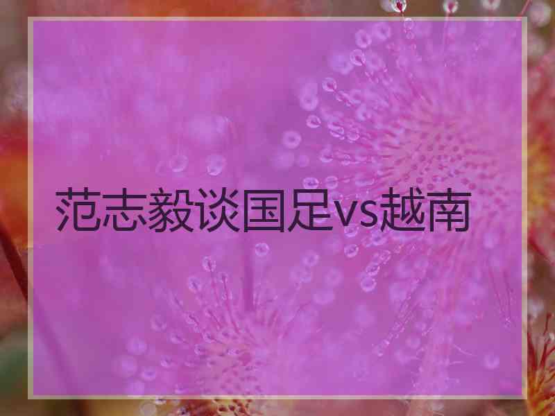 范志毅谈国足vs越南