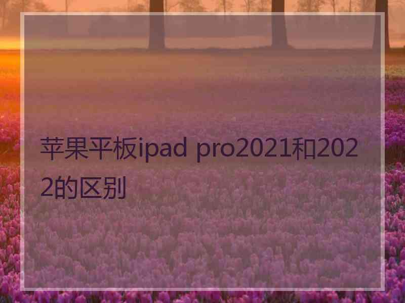 苹果平板ipad pro2021和2022的区别