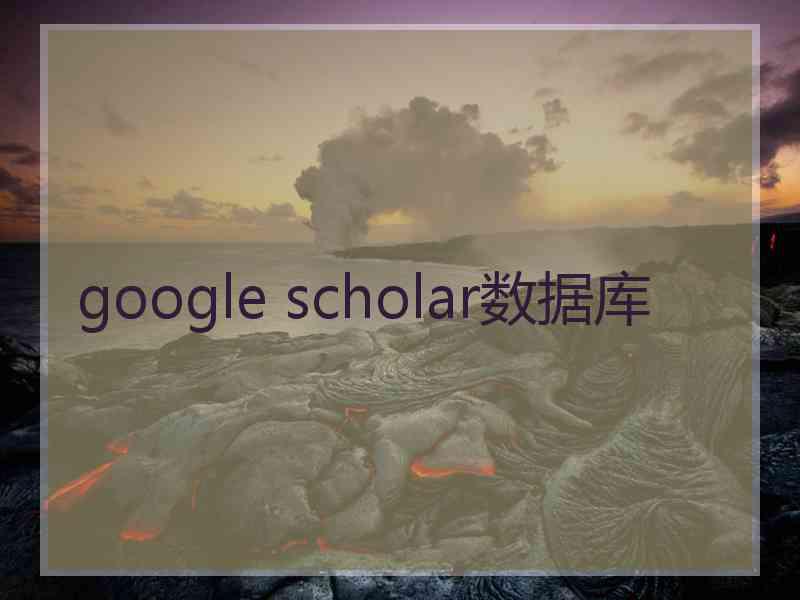 google scholar数据库