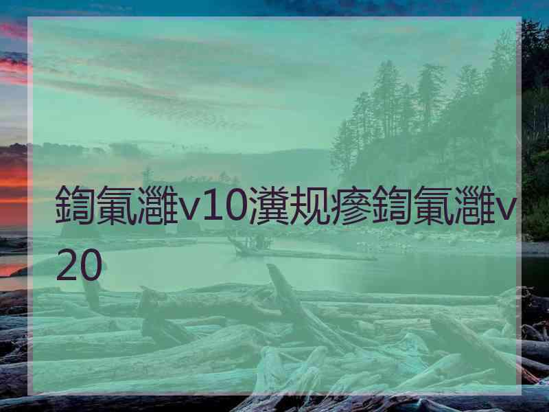 鍧氭灉v10瀵规瘮鍧氭灉v20