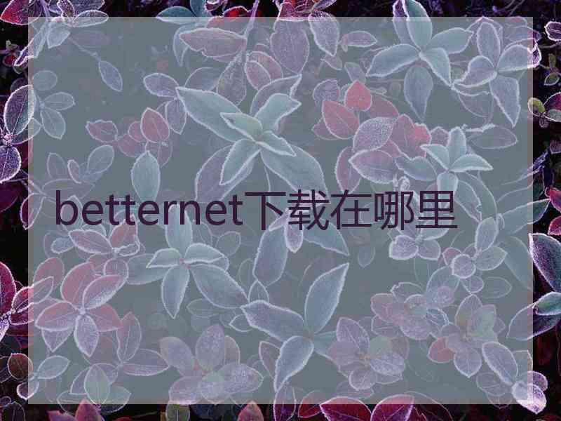 betternet下载在哪里