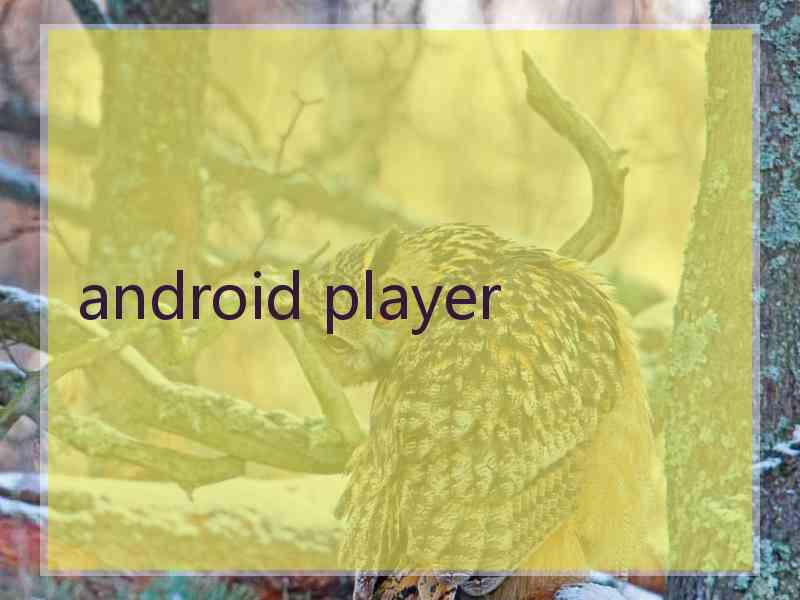 android player