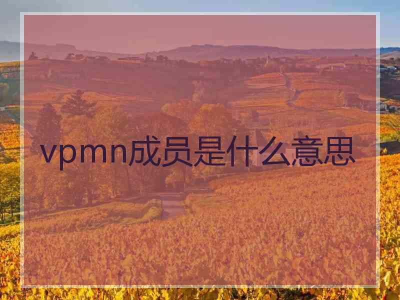 vpmn成员是什么意思