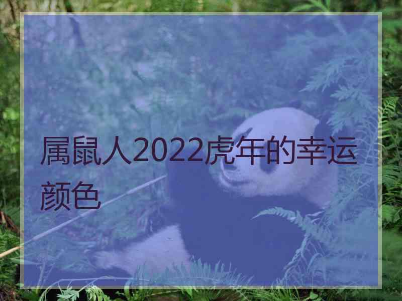 属鼠人2022虎年的幸运颜色