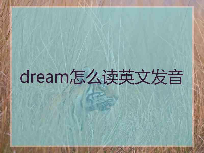 dream怎么读英文发音