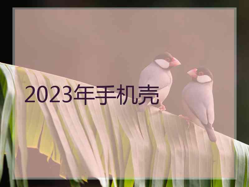 2023年手机壳