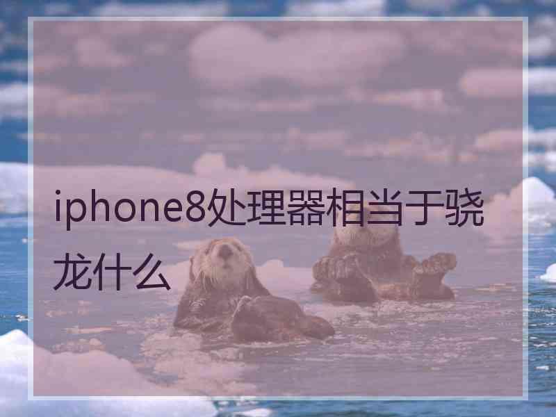 iphone8处理器相当于骁龙什么