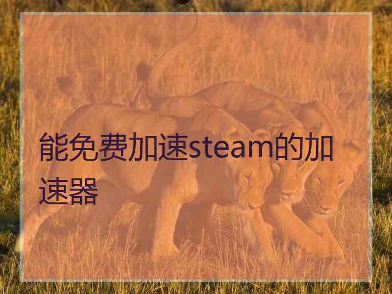 能免费加速steam的加速器