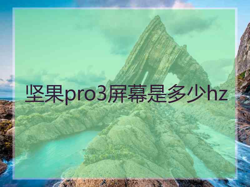 坚果pro3屏幕是多少hz