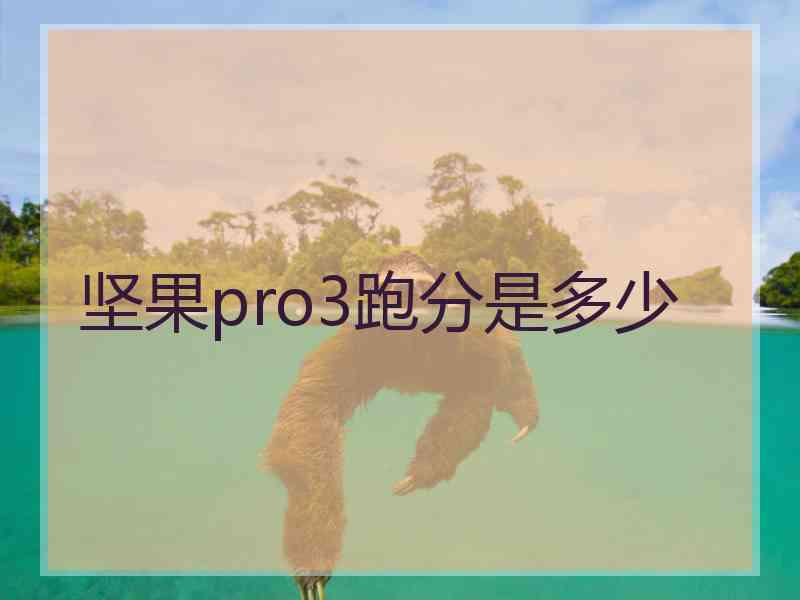 坚果pro3跑分是多少