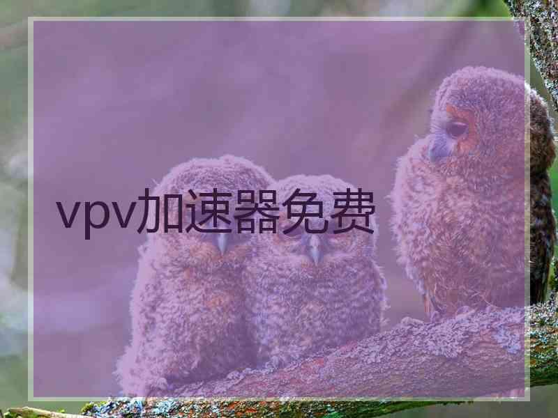 vpv加速器免费