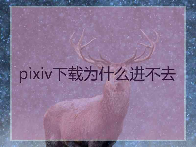 pixiv下载为什么进不去