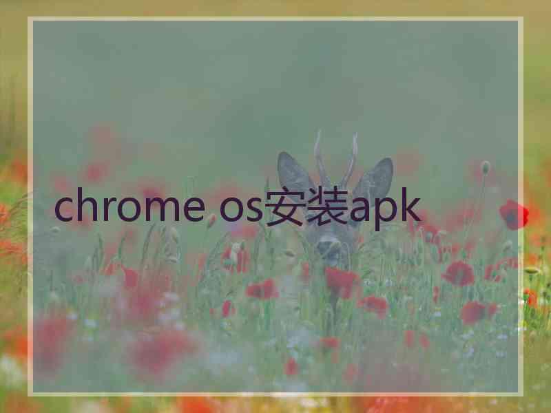 chrome os安装apk