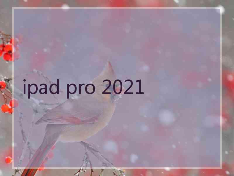 ipad pro 2021