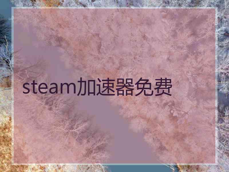 steam加速器免费