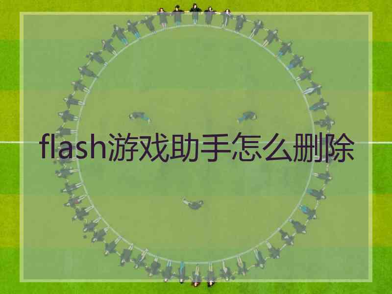 flash游戏助手怎么删除