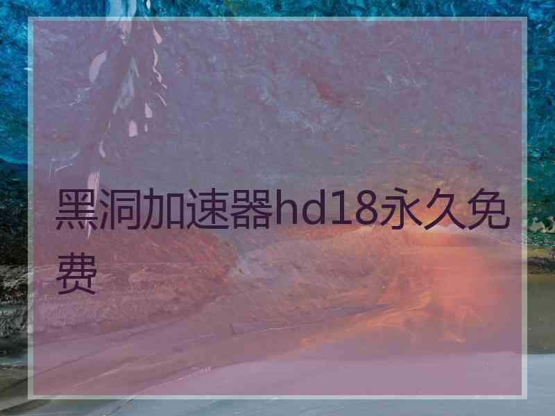 黑洞加速器hd18永久免费