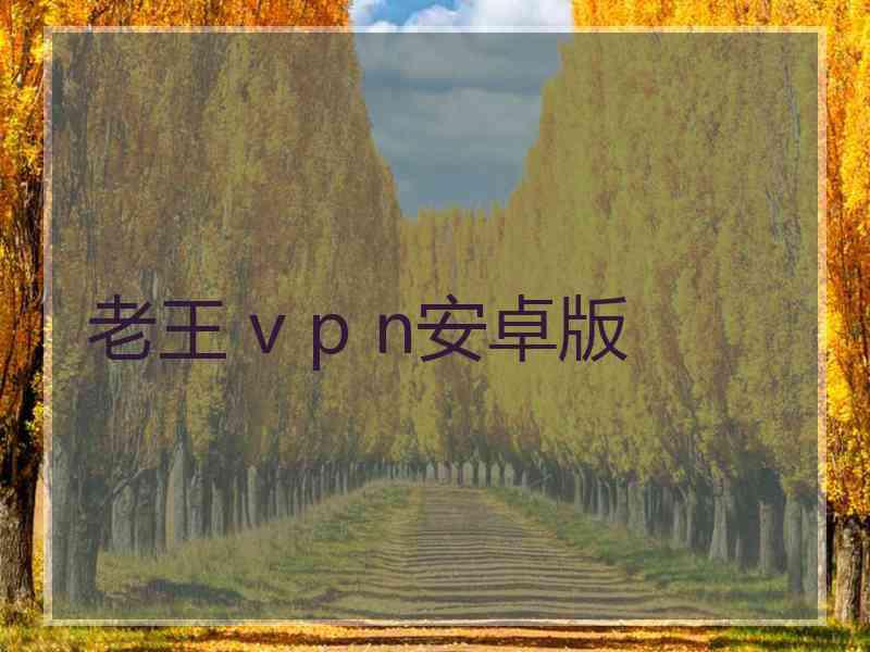 老王 v p n安卓版