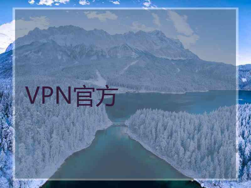 VPN官方