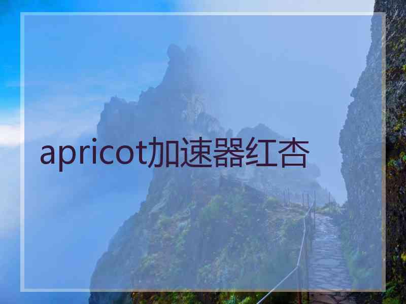 apricot加速器红杏