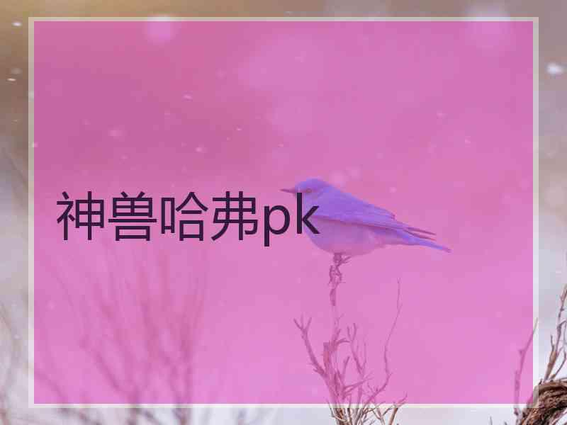 神兽哈弗pk