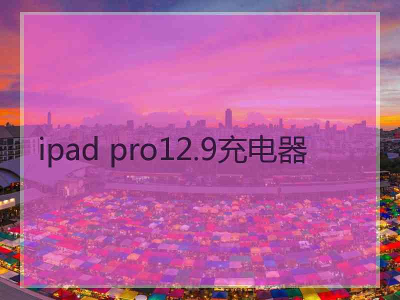 ipad pro12.9充电器