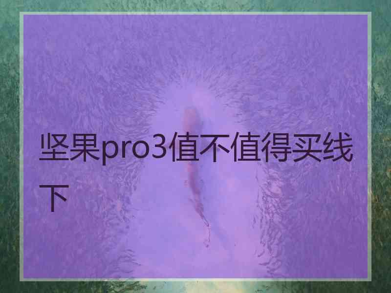 坚果pro3值不值得买线下