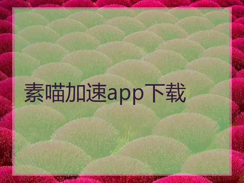 素喵加速app下载