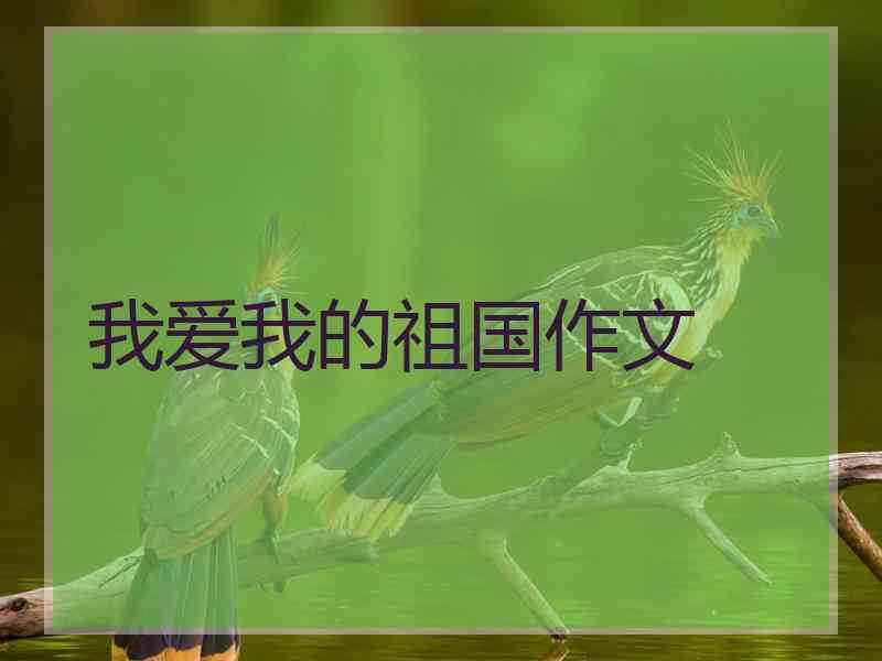 我爱我的祖国作文