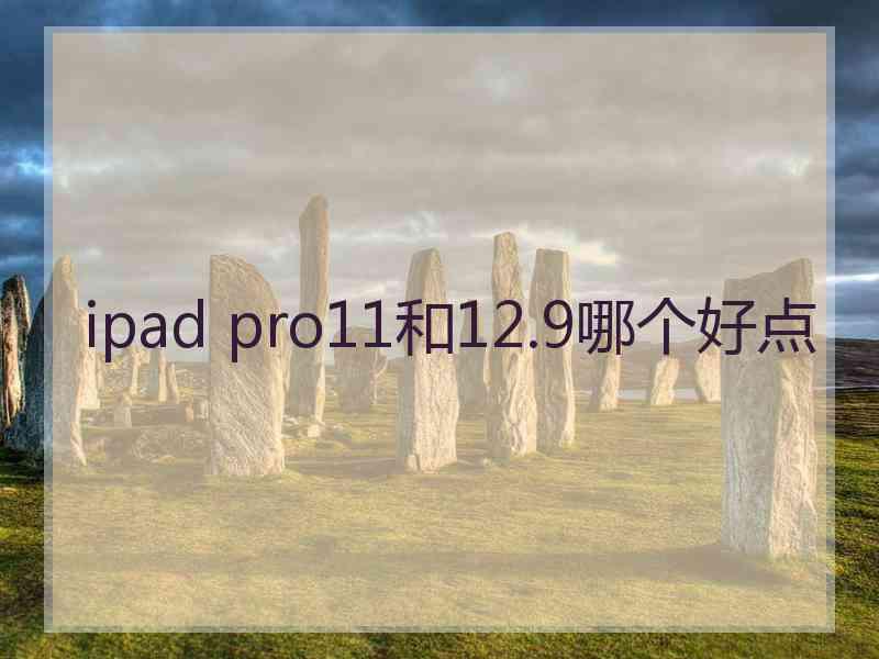 ipad pro11和12.9哪个好点