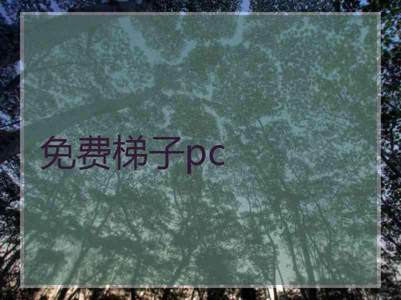 免费梯子pc