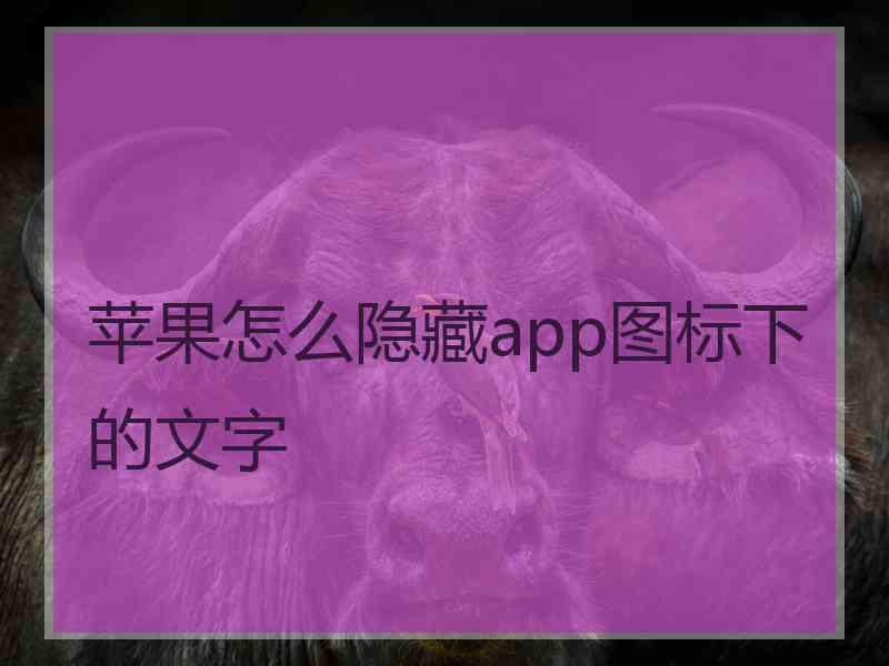 苹果怎么隐藏app图标下的文字