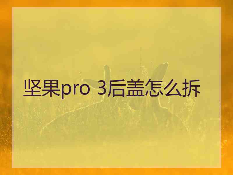 坚果pro 3后盖怎么拆