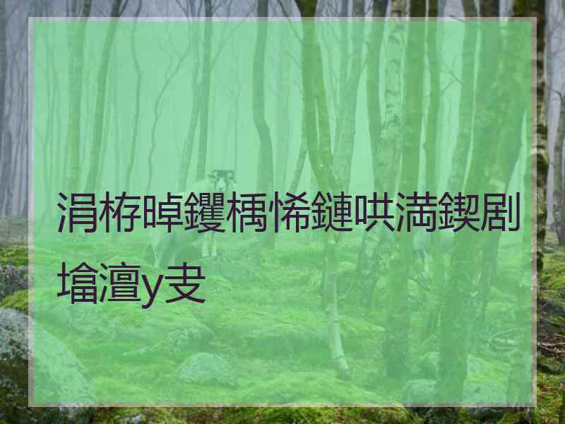 涓栫晫钁楀悕鏈哄満鍥剧墖澶у叏