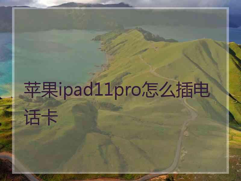 苹果ipad11pro怎么插电话卡