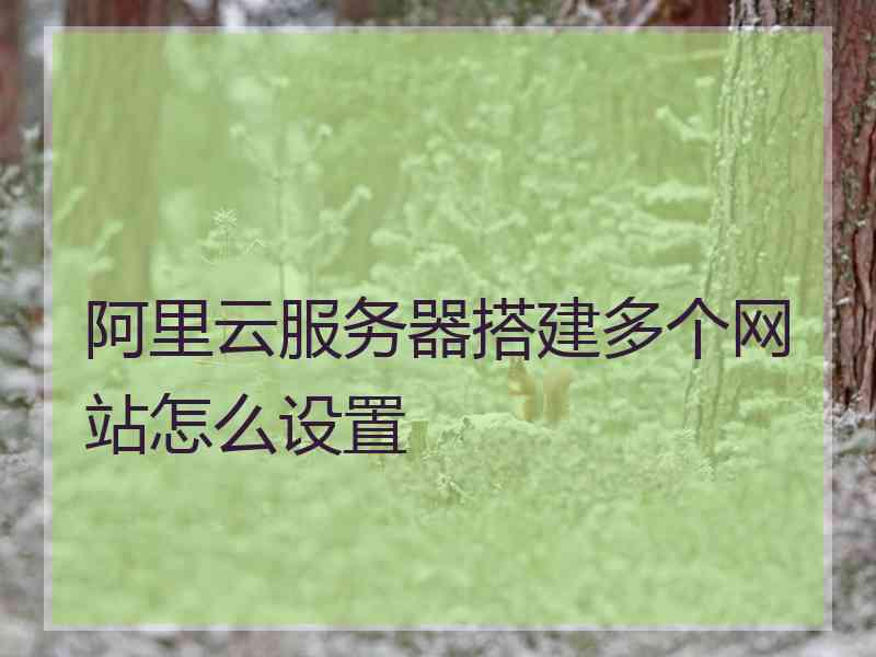 阿里云服务器搭建多个网站怎么设置