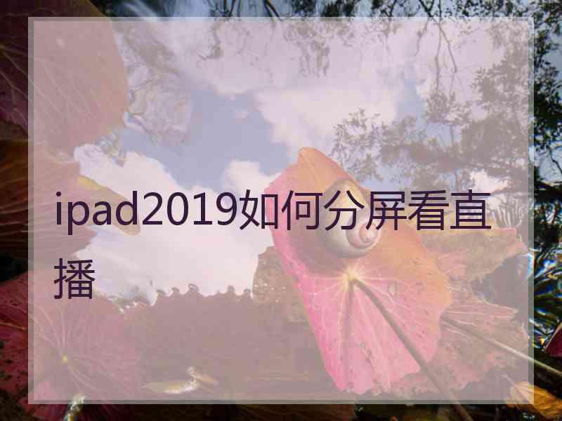 ipad2019如何分屏看直播