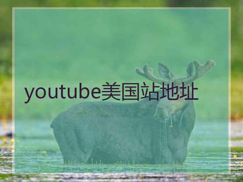 youtube美国站地址