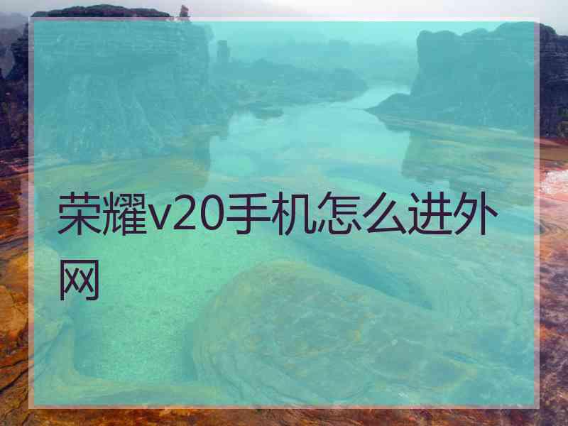 荣耀v20手机怎么进外网